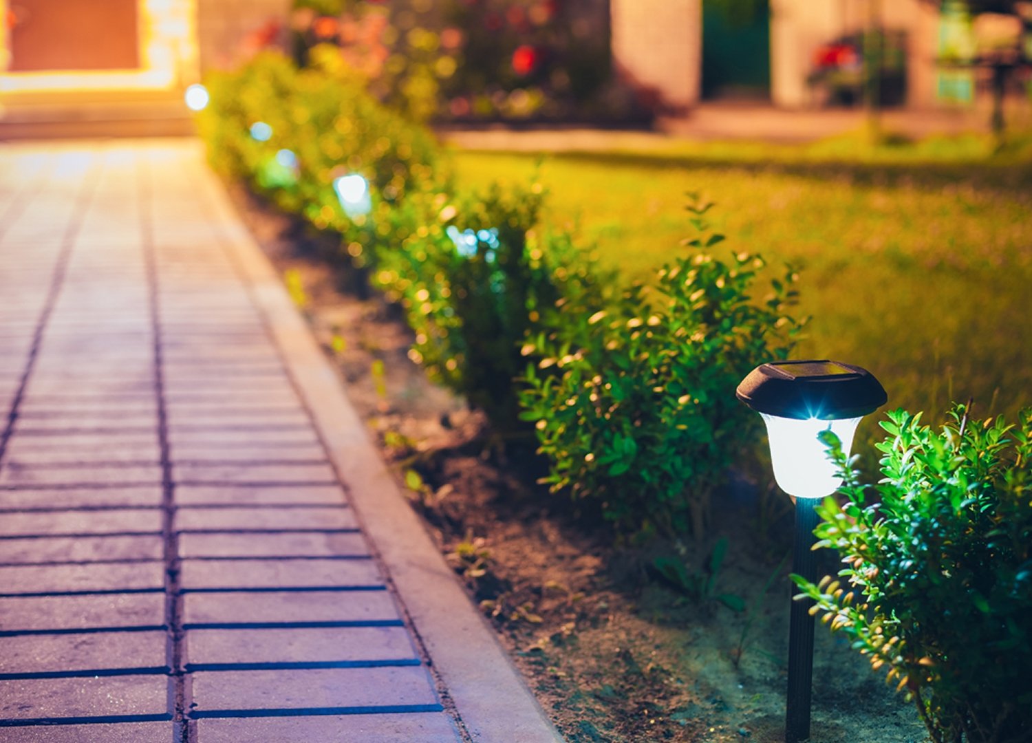 Home Decor and Garden